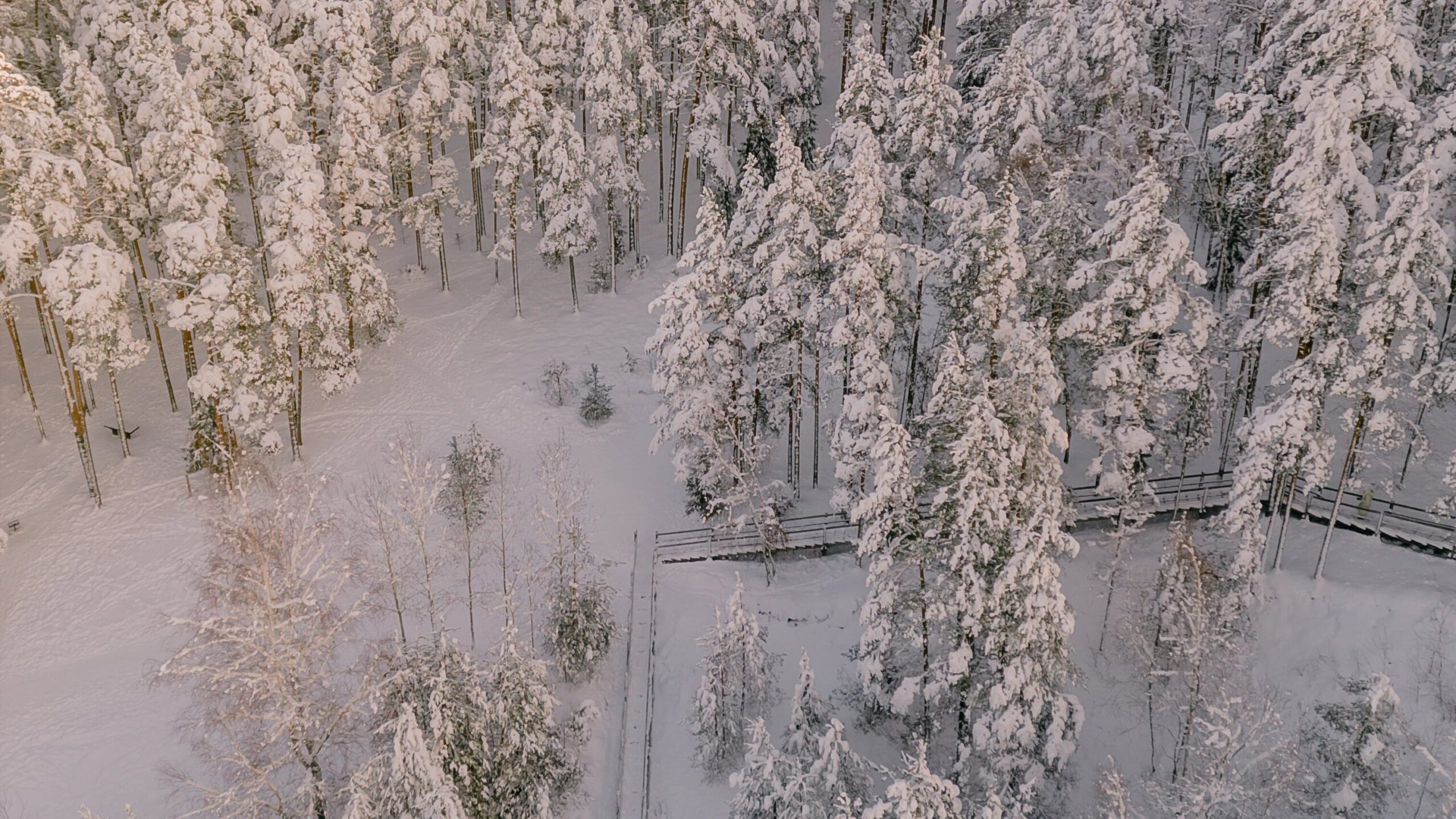 Top 10 leukste activiteiten tijdens de wintersport