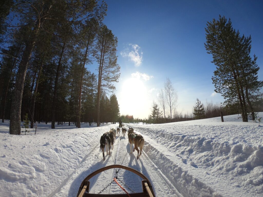 Top 10 leukste activiteiten tijdens de wintersport